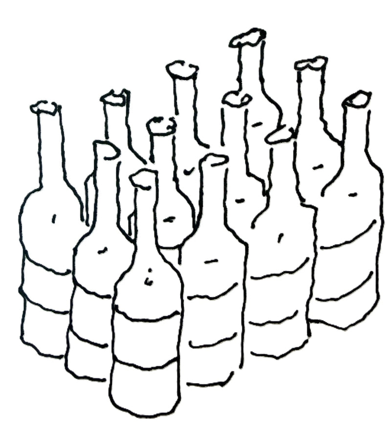 The White Case | Twelve Bottles, Chosen By Us