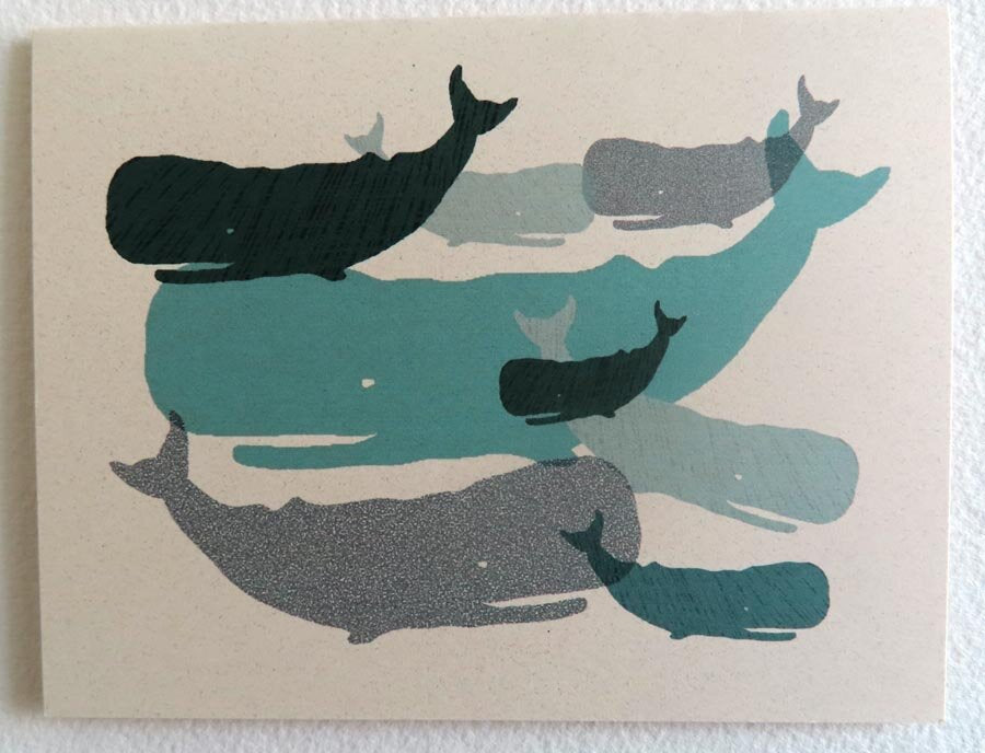 Whales - Greeting Card by Amy Mason