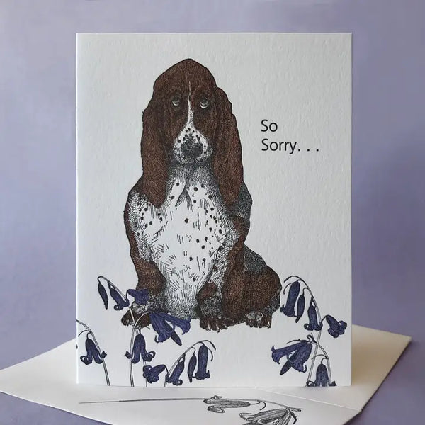 So Sorry Greeting Card