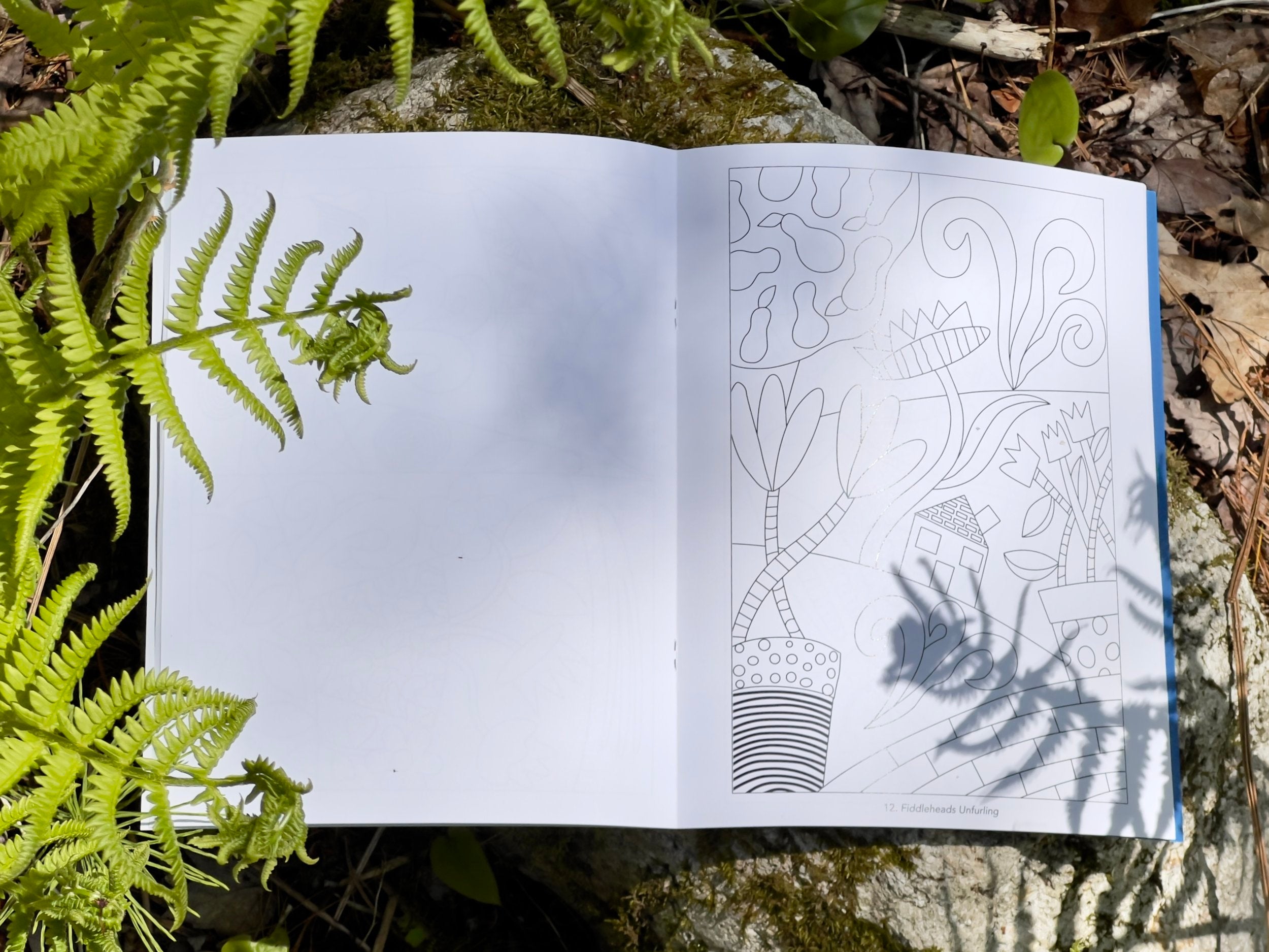 In and Around the Garden - A Coloring Book by Lisa Houck