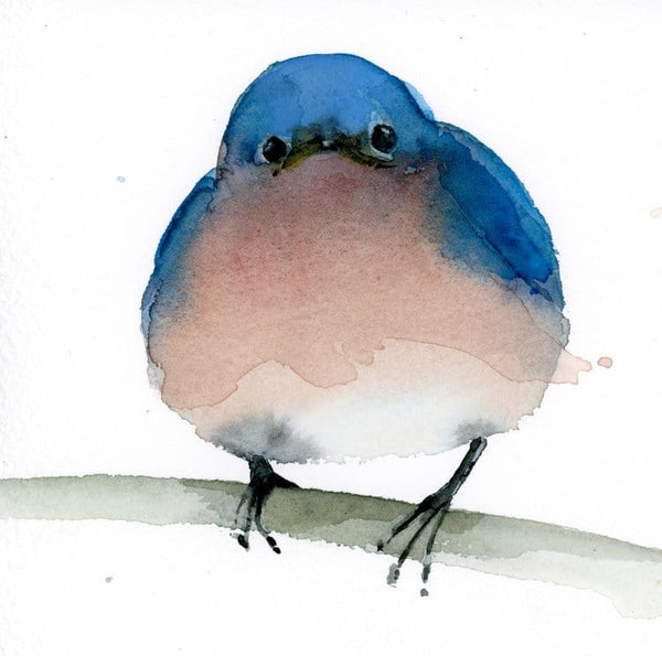 Fledgling Eastern Bluebird Greeting Card