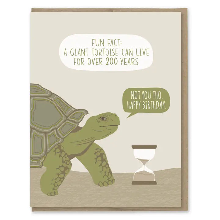Fun Fact Tortoise Birthday Greeting Card