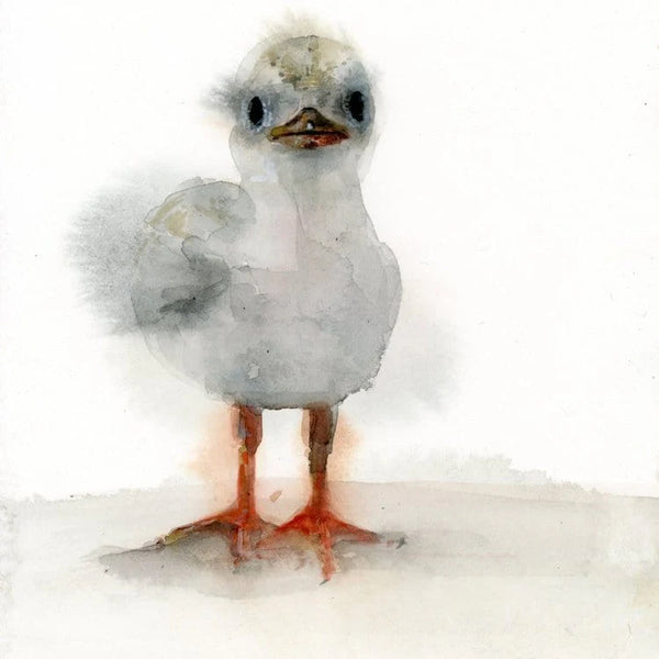 Fledgling Least Tern Greeting Card