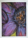 cone flowers in color-2