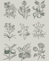 Annie Sloan Royal Horticultural Society Decoupage Papers, Botanicals