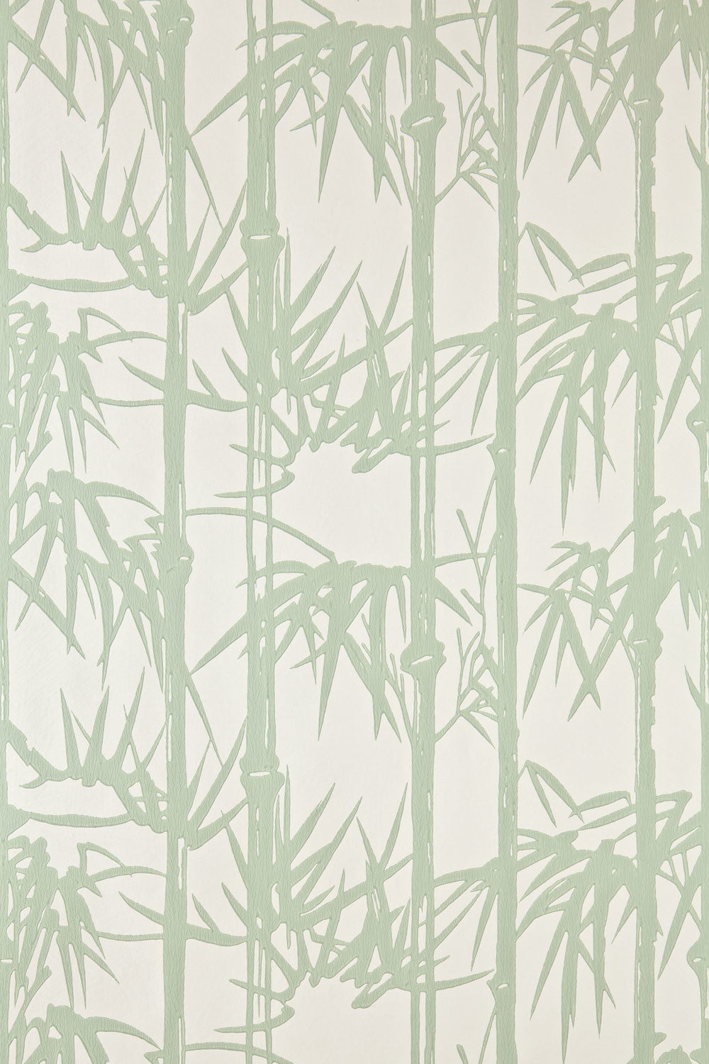 bamboo bp 2139