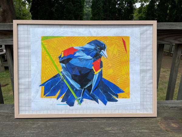 Red Winged Blackbird Collage - Framed Print