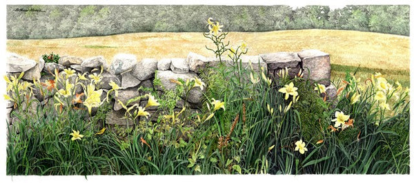 Daylilies & Yellow Warbler