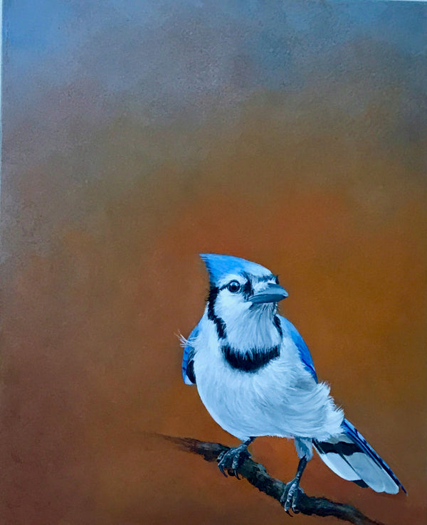 Blue Jay #5, Original Oil Painting