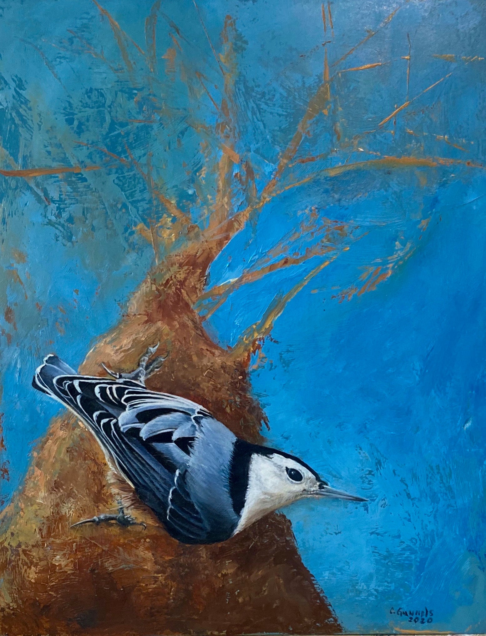 White Breasted Nuthatch, Original Oil Painting