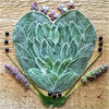 "Lambs Ear Heart" by Meredith Brower