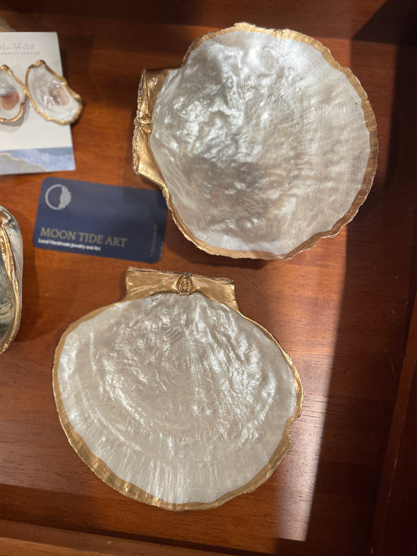 Locally Sourced Decorative Shells