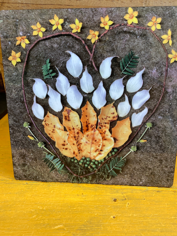 Firefly Mandala Photographic Print on Metal