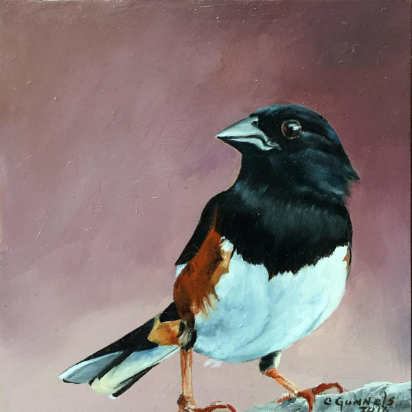 Towhee #1, Original Oil Painting