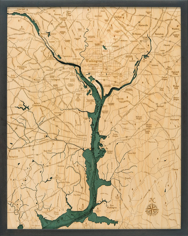 Washington, D.C. Wood Chart Map