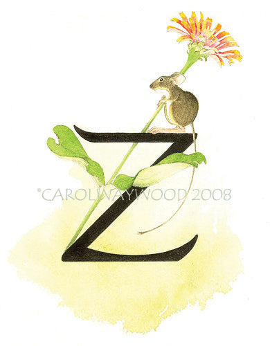 Alphabet Letter Z