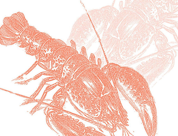 Bien Ecrit Note Cards, Lobster