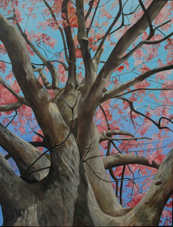 "Spring Oak", Original Oil Painting by Christy Gunnels