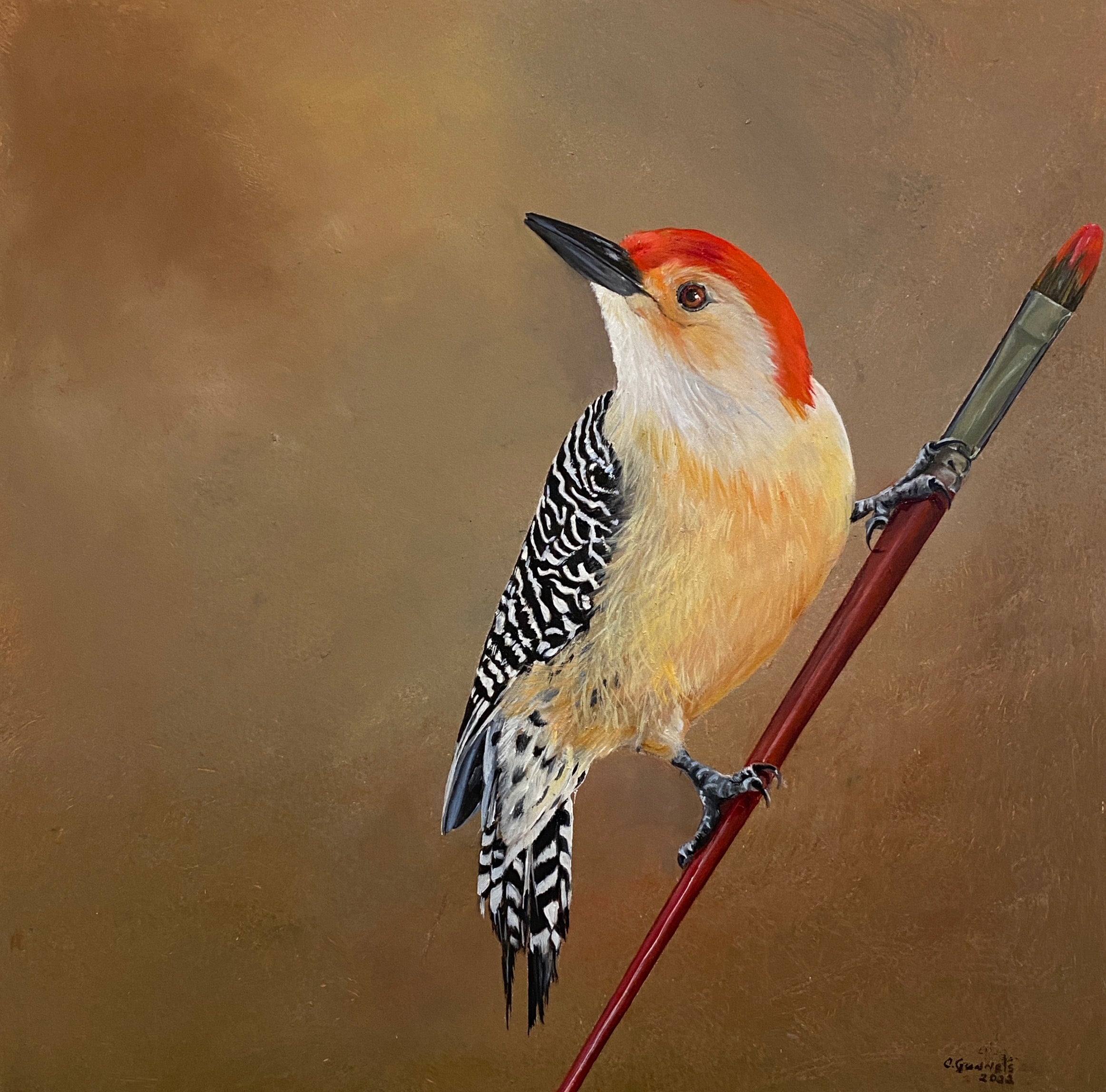 Red Bellied Woodpecker #3