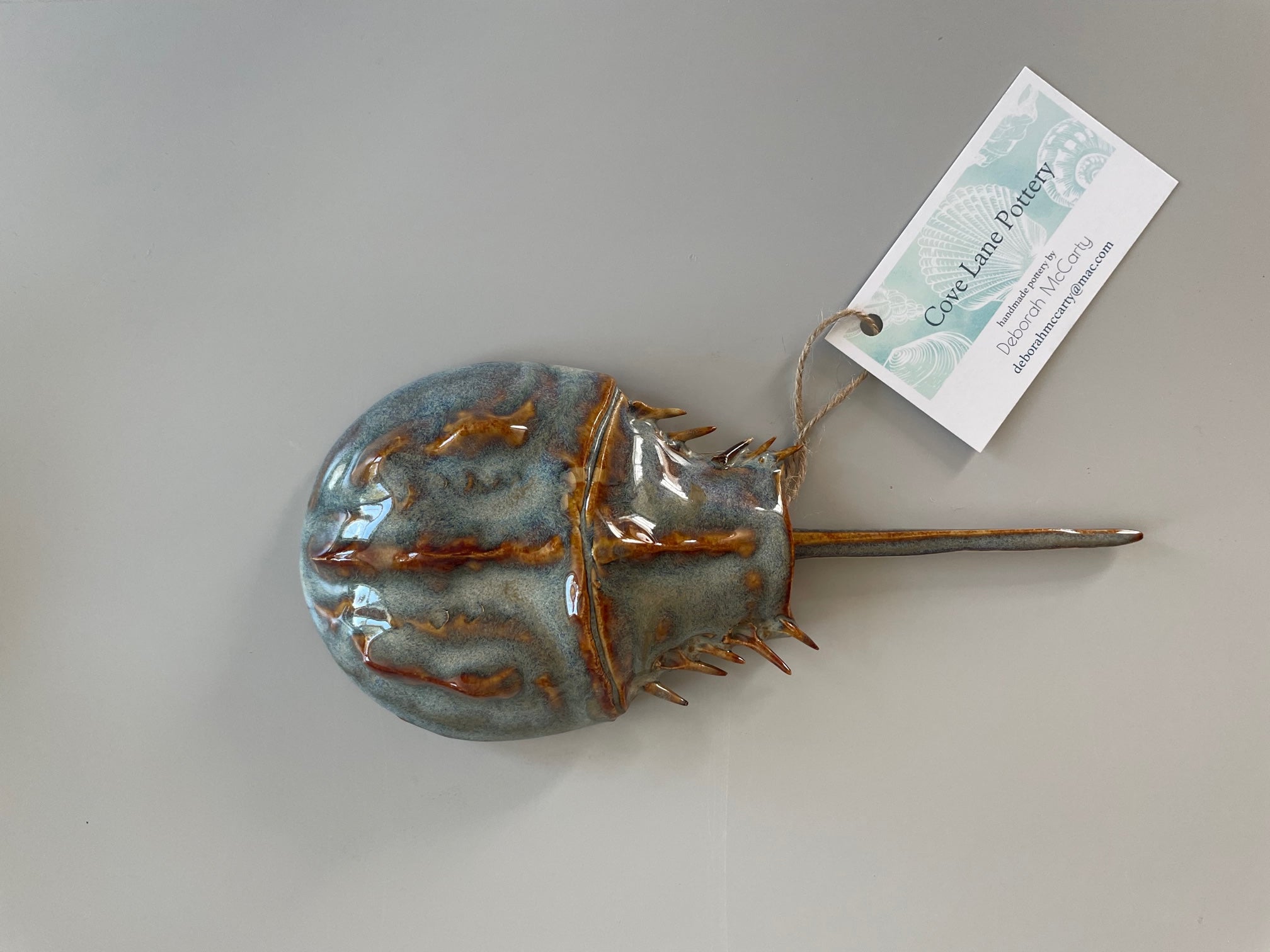 Small wall hanging horseshoe crab