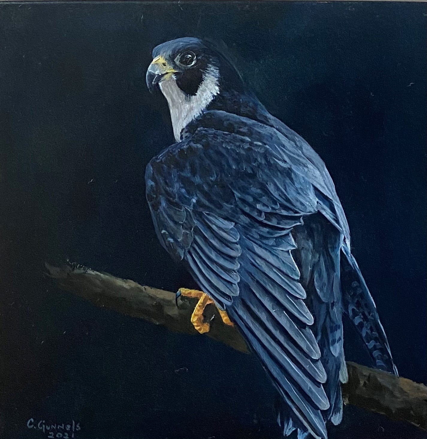 Peregrine Falcon, original oil painting