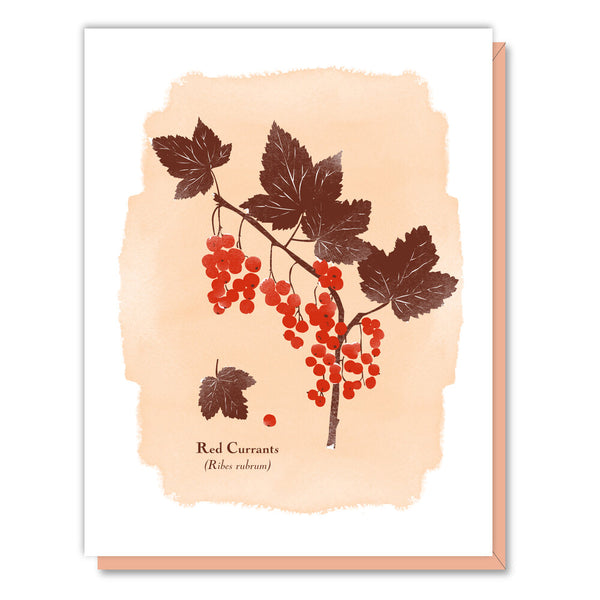 Red Currants Botanical Greeting Card