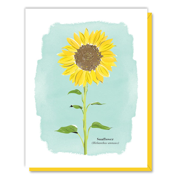 Sunflower Botanical Greeting Card