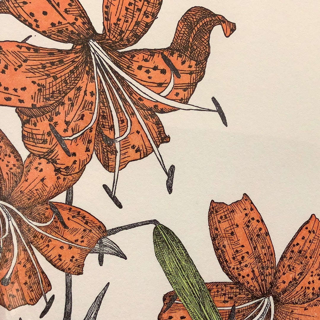 Tiger Lily Greeting Card