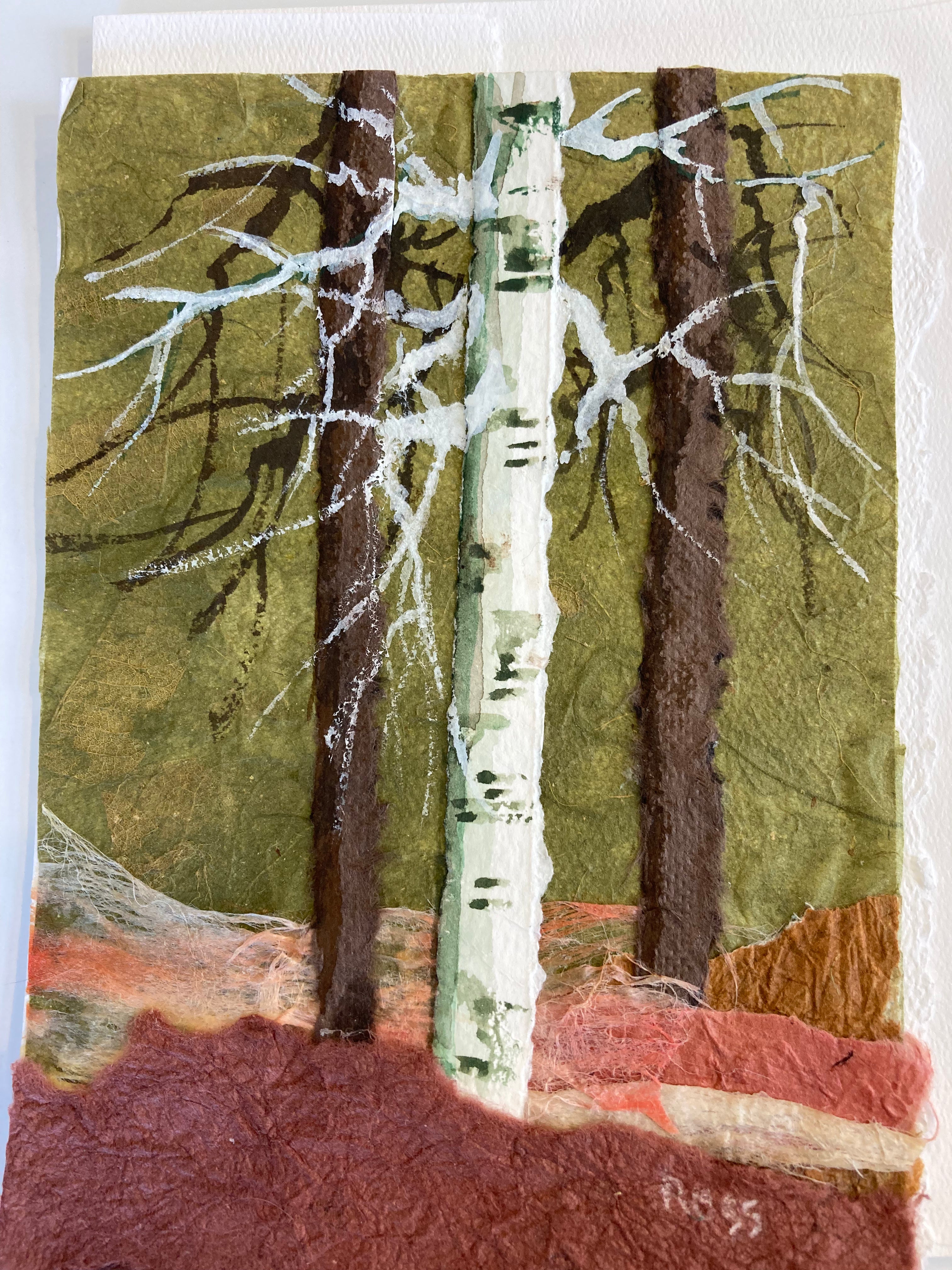 Birches Greeting Cards by Mary Ross