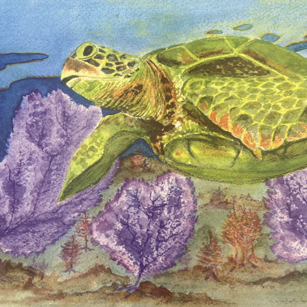 “Sea Turtle” Kathryn Davies Bruce Watercolor Print
