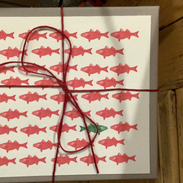 Boxed Note Cards, School of Fish