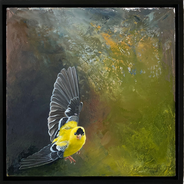 Coming Out of the Dark, Goldfinch, Original Oil Painting