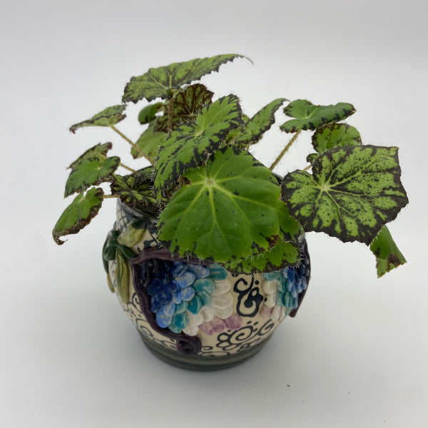 Ceramic Planter with Drainage by Kim Sheerin