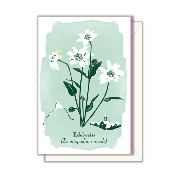 Edelweiss Mini Greeting Card