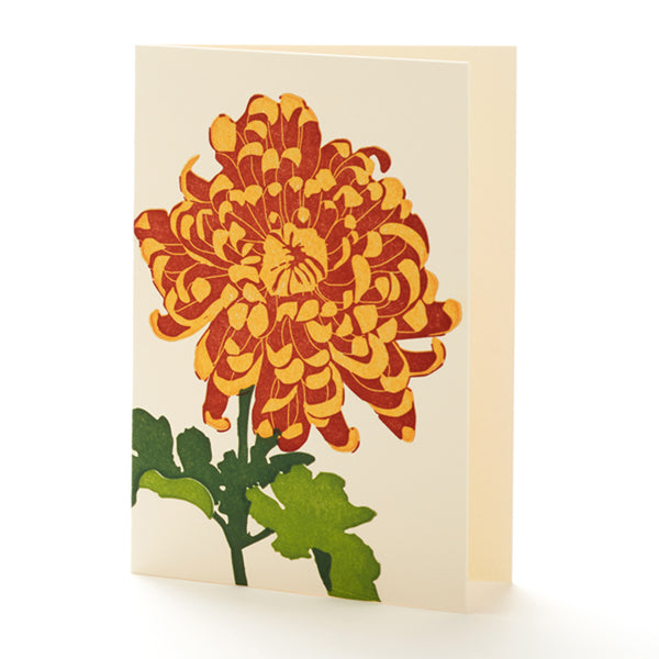 Chrysanthemum Greeting Card