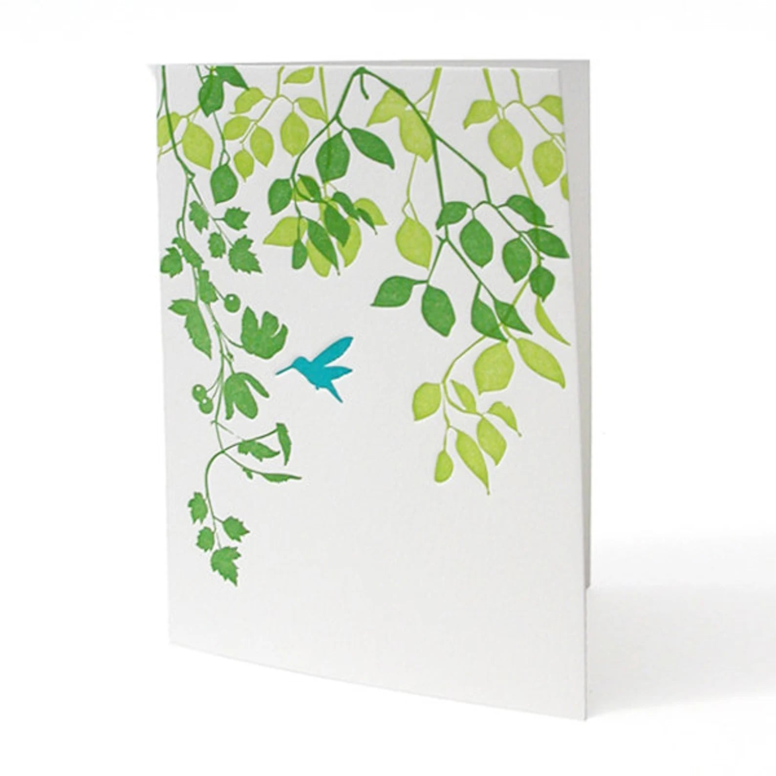 Hummingbird Greeting Card