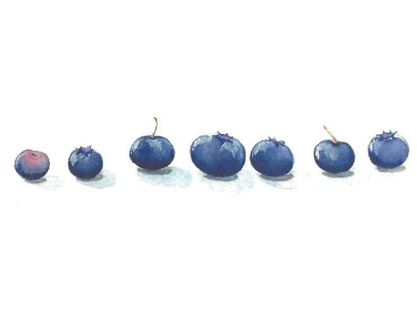 Single Note Card, Blueberries