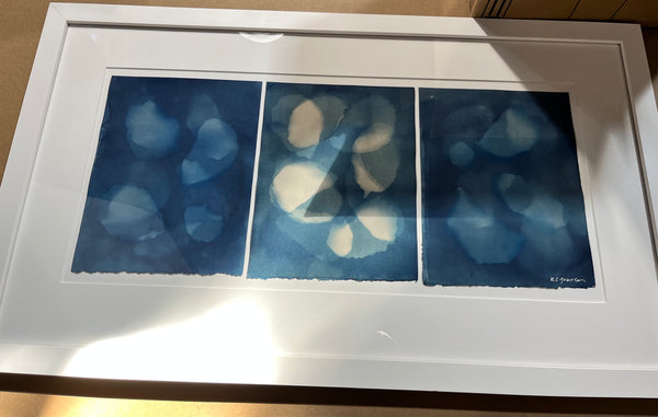 Dreamy Oysters -  Cyanotype Triptych