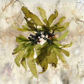 Eco Green Bloom