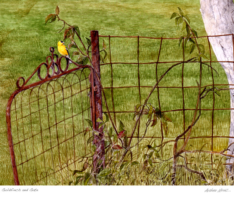 Goldfinch and Gate